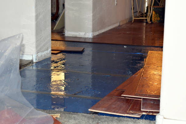 Professional Sewage Cleanup technician working in Akron, NY